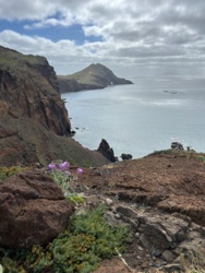 7881822d-90ed-4f66-84f2-9ea97bffe68d