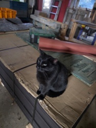 80f328e2-0d56-4c5f-81ed-b95f741e9cf3