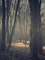 07bcfaef-3b49-4c3f-917d-e6630fa040ef