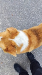 4efddf56-9ae1-4e71-89b4-aa721c9d0e53