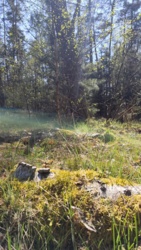 8ddfa55d-d52c-4d72-96b3-da875bbaccc9