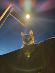 c7556336-bf84-4d16-8088-493163779483