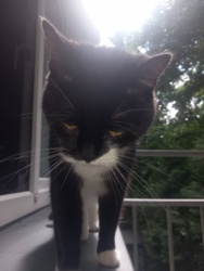 83afa21c-f869-406b-959c-c80486530b88