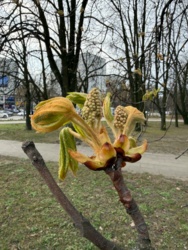 69b04297-1a8a-4a31-bdb2-06bc5e8b6874