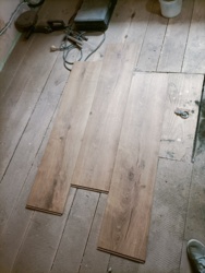 54e92540-354b-46d0-a344-d2297a082ef0