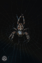 92bc05d7-25e8-4050-a9ae-5c7c07ed6cd7