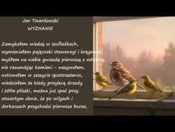 Wyznanie Jan Twardowski Poezje Wiersze | Poezja Dla Duszy