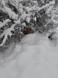 dc4f7f58-3338-43cb-a9a7-9e32b18ed641