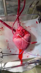 dcd870b3-95d6-433c-a2a8-8f58a6ba7c30