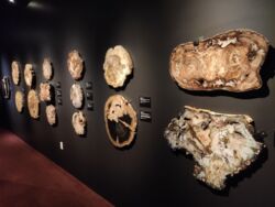 6e79ac65-a8d9-44dc-afb0-59416b543d5d