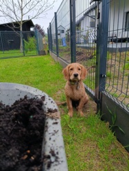 19c344a8-a01c-4d50-b84c-e4587484e83c