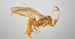 3ddcf19f-13bc-4722-b316-c2f6dbe9871b