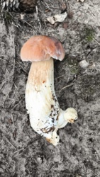 0bac3e7e-8622-4a88-aeed-4146984142a0