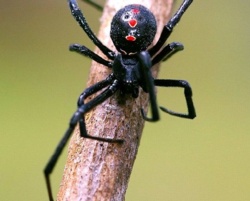 11f01a1e-2d57-48fc-8edf-e8bb4ca5580c