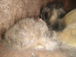 3759fae5-3941-4a41-97a1-5e6b3800099a