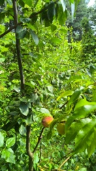 26e654f3-b34c-40aa-9301-6a18a38ffa50