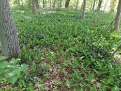 cab0ab55-9d18-4444-9d71-f9504552dd51