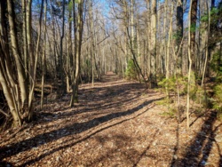 ac8a6046-e83b-4067-bd13-479b16f8da51