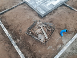 8e4a1456-da6c-4a46-8e79-e116f86697f7