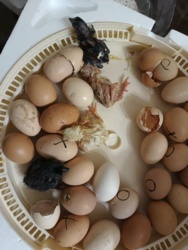 6f867170-7cbd-4f3e-9e33-733504ff9e89