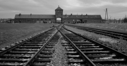 Belgijskie koleje i państwo pozwane za deportacje Żydów do Auschwitz