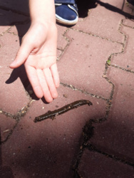 95122c73-40d8-4eb7-a88b-81a304e4c807