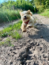 d7bfd5bd-43d1-46be-9539-6e9cd04660ae