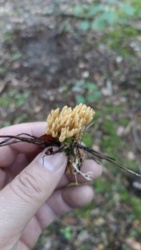 09143cc8-42f2-4ac8-bcd4-5feea1a69ddc