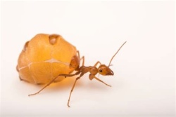 a3b36f41-9cb3-4131-a73a-5454a5e96fe9