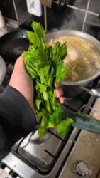 b5a2c828-17ca-46db-b34d-8ac29a9cc84c