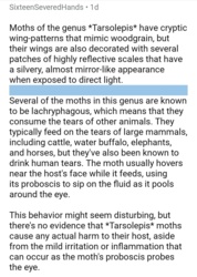 60800726-9fc8-4586-8e18-e98afda28343