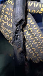 286d1b10-4e66-4d5c-a7ac-18c3f5feed53