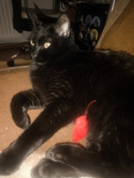 db95aca7-a1bc-4341-b270-8dc9b5866b2d