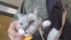 7fae3457-20ec-43b9-87d7-6dc4cd609d86