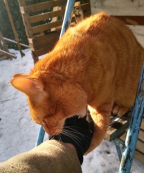 0aebbbd3-6836-401b-bf89-746b615c08bd