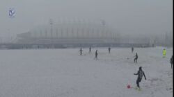 acf524ab-7737-4b66-a973-ec539ff88574