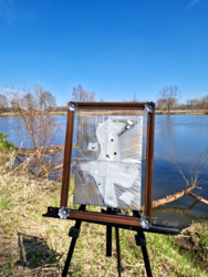 d709b777-94b8-4fd4-8af6-0d78652d3ea3