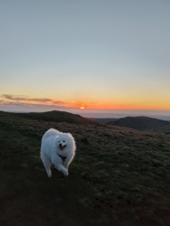 9abbc1de-6127-4007-aad2-efaa3c25cce9