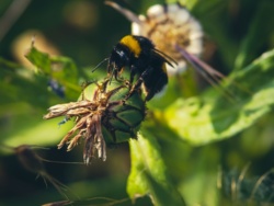 2355ffdf-f680-47d2-9abd-8a426b8b69cd