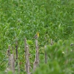 336349e9-8e7f-44f0-8647-96d52412c721