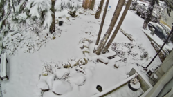 377f0069-207f-471c-b70d-4c1a946140f1