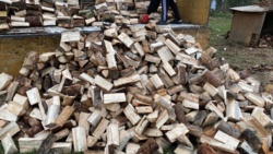 349aebec-be2b-41e8-9348-8564f07a0041