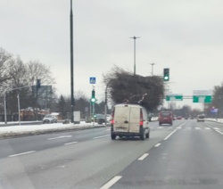 9e1a42b0-3caa-4a47-8b15-cd2e2d6ce7fe