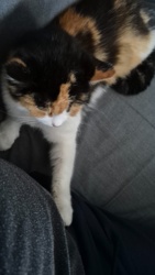 83e0f543-5a28-4d22-b207-5a12e3932be2