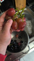 e979024a-dcc9-4de1-9932-873723e677b9