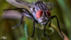 a07d43ff-6f66-4745-80b5-a61a3925e88b