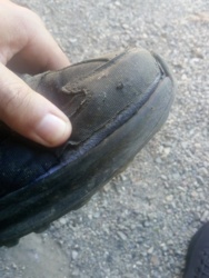 75675eca-2f6d-42b4-8df5-3ac0366c7f7f