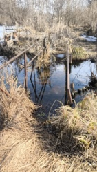 16bead8e-cb74-4b66-b701-502b61b39857