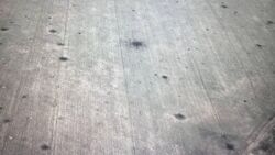 37121065-2aad-44da-abab-563255555206