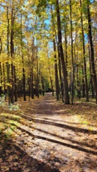 3fc0894b-2db3-46a4-9858-dd98968be404